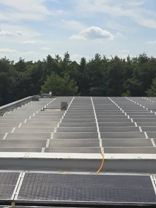 Lange rijen zonnepanelen op een plat bedrijfsdak, klaar om gereinigd te worden